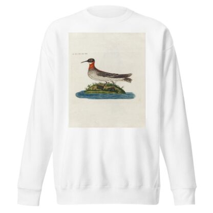 Icones rerum naturalium, ou figures enluminées d’histoire naturelle du nord Pl.20 by Peder Ascanius Sweatshirt