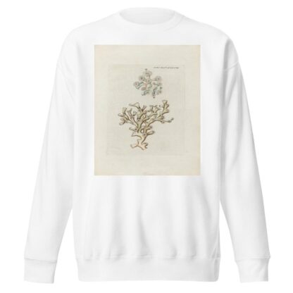 Icones rerum naturalium, ou figures enluminées d’histoire naturelle du nord Pl.48 by Peder Ascanius Sweatshirt