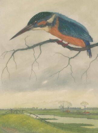 IJsvogel op een tak in een weidelandschap by Frans Everbag