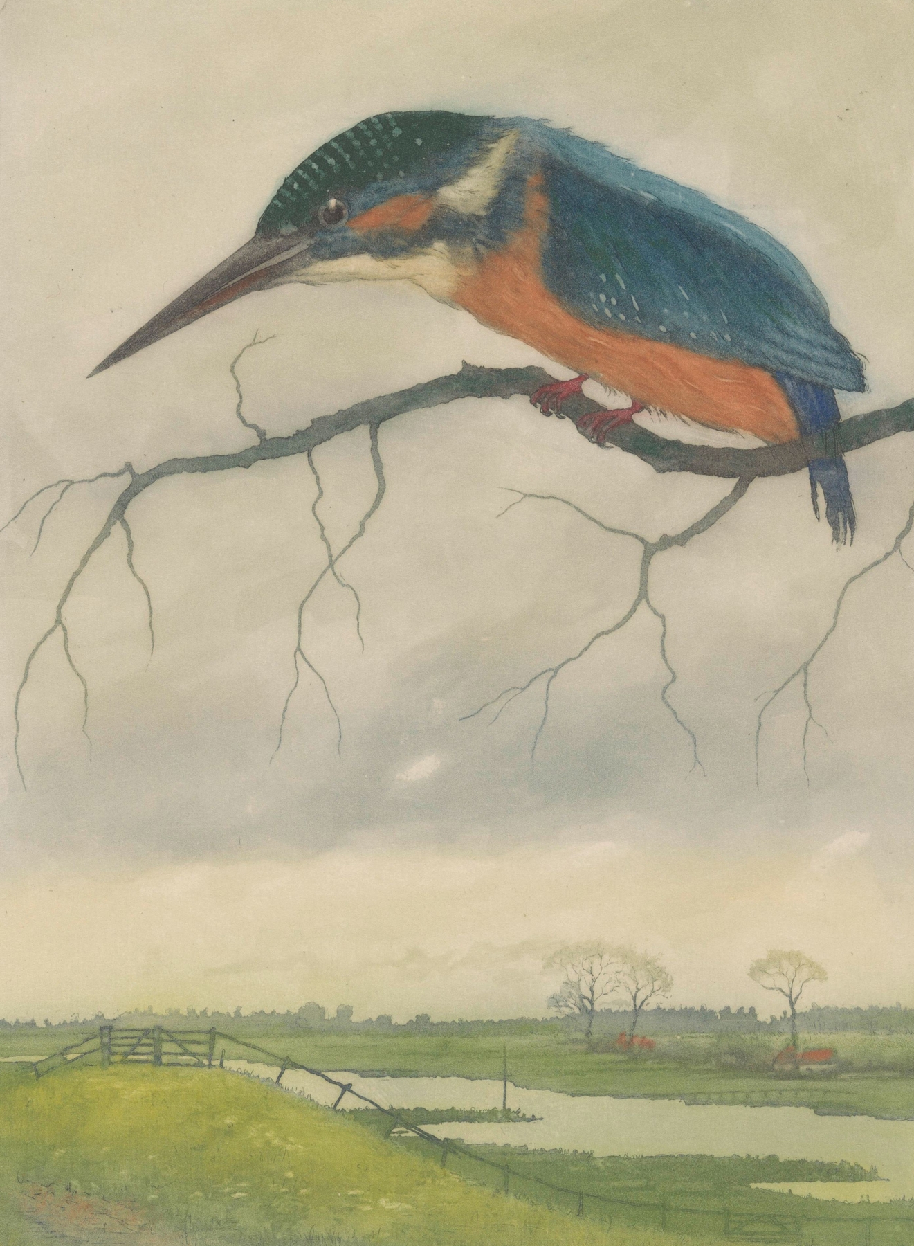 IJsvogel op een tak in een weidelandschap by Frans Everbag