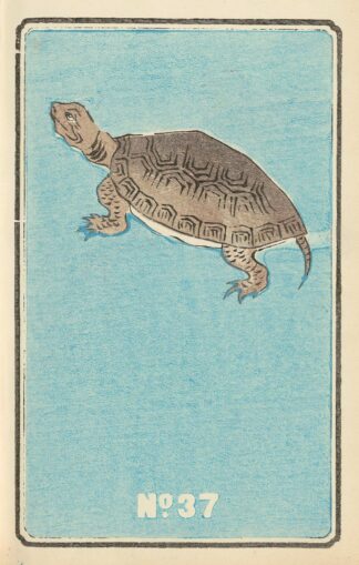 Illustrated Catalogue of Daylight Bomb Shells No. 37 by Jinta Hirayama