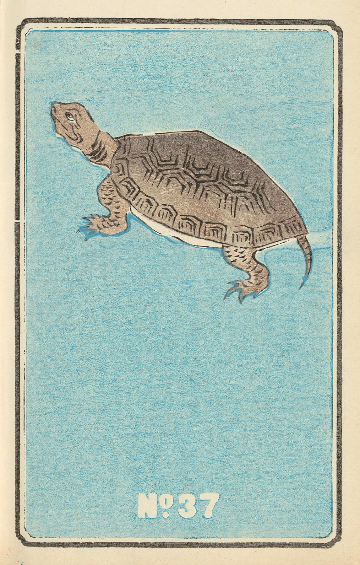 Illustrated Catalogue of Daylight Bomb Shells No. 37 by Jinta Hirayama