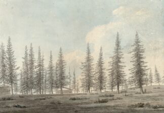 In the Tyrol by John Robert Cozens
