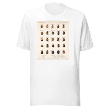 Insecta Coleoptera Pl 234 by Frederick DuCane Godman T-Shirt