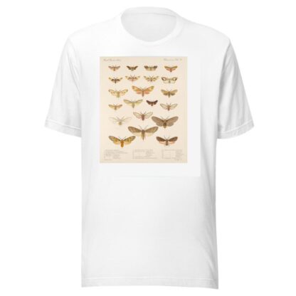 Insecta Lepidoptera-Heterocera Pl 074 by Frederick DuCane Godman T-Shirt