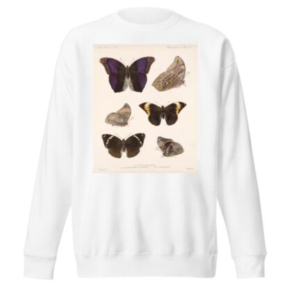 Insecta Lepidoptera-Rhopalocera Pl 013 by Frederick DuCane Godman Sweatshirt