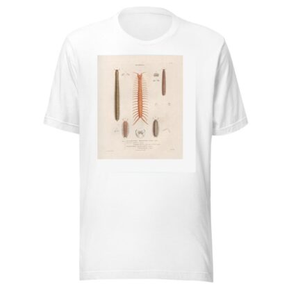 Insectes recueillis en Afrique et en Amérique Pl.05 by Jean Gabriel Prêtre T-Shirt