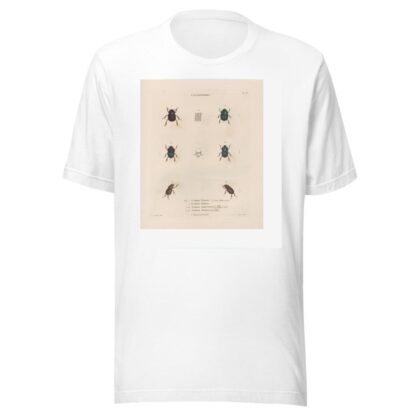 Insectes recueillis en Afrique et en Amérique Pl.15 by Jean Gabriel Prêtre T-Shirt