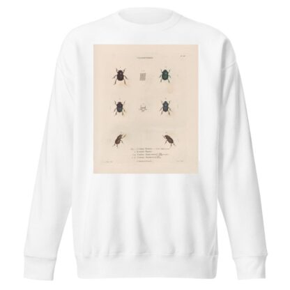 Insectes recueillis en Afrique et en Amérique Pl.15 by Jean Gabriel Prêtre Sweatshirt