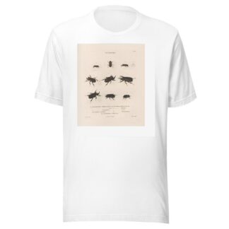 Insectes recueillis en Afrique et en Amérique Pl.17 by Jean Gabriel Prêtre T-Shirt
