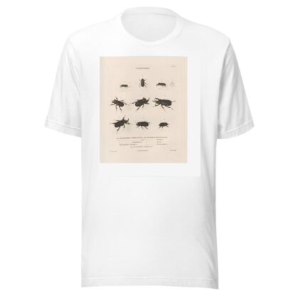Insectes recueillis en Afrique et en Amérique Pl.17 by Jean Gabriel Prêtre T-Shirt