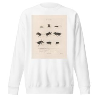 Insectes recueillis en Afrique et en Amérique Pl.17 by Jean Gabriel Prêtre Sweatshirt