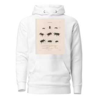 Insectes recueillis en Afrique et en Amérique Pl.17 by Jean Gabriel Prêtre Hoodie