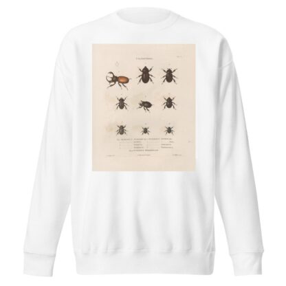 Insectes recueillis en Afrique et en Amérique Pl.18 by Jean Gabriel Prêtre Sweatshirt