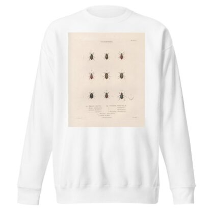 Insectes recueillis en Afrique et en Amérique Pl.28 by Jean Gabriel Prêtre Sweatshirt