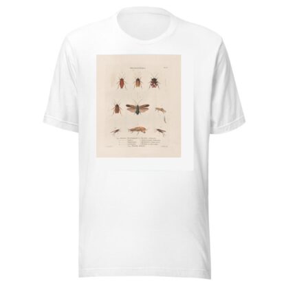 Insectes recueillis en Afrique et en Amérique Pl.38 by Jean Gabriel Prêtre T-Shirt
