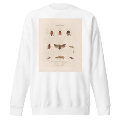Insectes recueillis en Afrique et en Amérique Pl.38 by Jean Gabriel Prêtre Sweatshirt