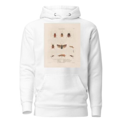 Insectes recueillis en Afrique et en Amérique Pl.38 by Jean Gabriel Prêtre Hoodie