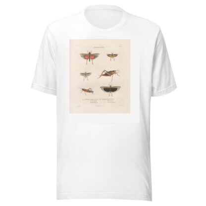 Insectes recueillis en Afrique et en Amérique Pl.45 by Jean Gabriel Prêtre T-Shirt