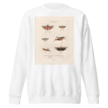 Insectes recueillis en Afrique et en Amérique Pl.45 by Jean Gabriel Prêtre Sweatshirt