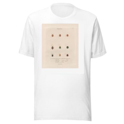 Insectes recueillis en Afrique et en Amérique Pl.54 by Jean Gabriel Prêtre T-Shirt