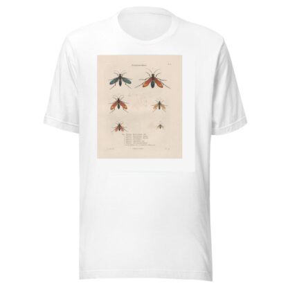 Insectes recueillis en Afrique et en Amérique Pl.70 by Jean Gabriel Prêtre T-Shirt