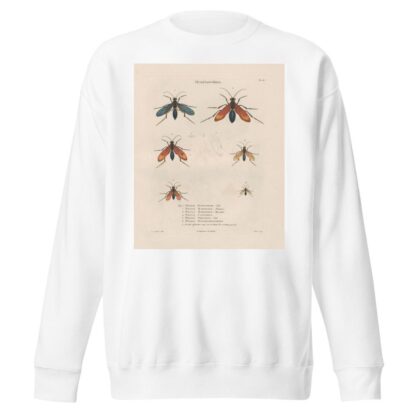 Insectes recueillis en Afrique et en Amérique Pl.70 by Jean Gabriel Prêtre Sweatshirt