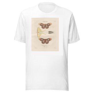 Insectes recueillis en Afrique et en Amérique Pl.86 by Jean Gabriel Prêtre T-Shirt
