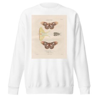 Insectes recueillis en Afrique et en Amérique Pl.86 by Jean Gabriel Prêtre Sweatshirt