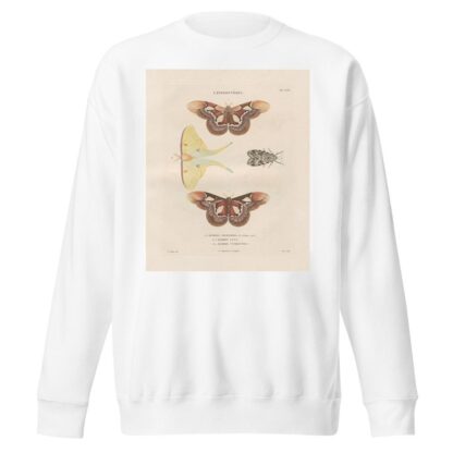 Insectes recueillis en Afrique et en Amérique Pl.86 by Jean Gabriel Prêtre Sweatshirt