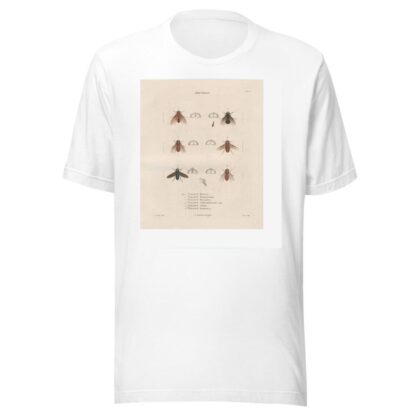 Insectes recueillis en Afrique et en Amérique Pl.89 by Jean Gabriel Prêtre T-Shirt