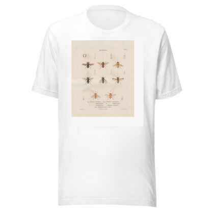 Insectes recueillis en Afrique et en Amérique Pl.90 by Jean Gabriel Prêtre T-Shirt
