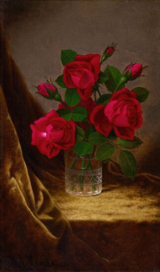 Jacqueminot Roses by Martin Johnson Heade