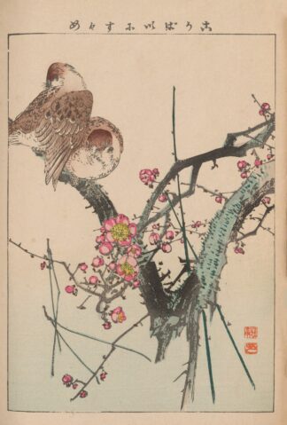 Kachō gafu, Pl.05 by Kōtei Fukui