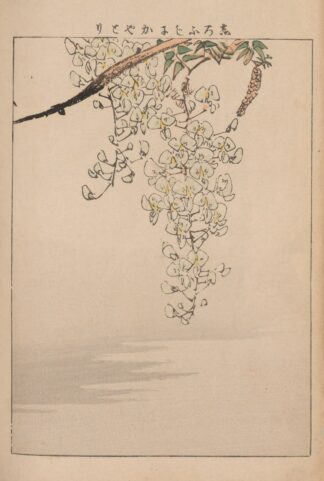 Kachō gafu, Pl.11 by Kōtei Fukui