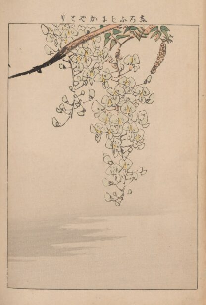 Kachō gafu, Pl.11 by Kōtei Fukui