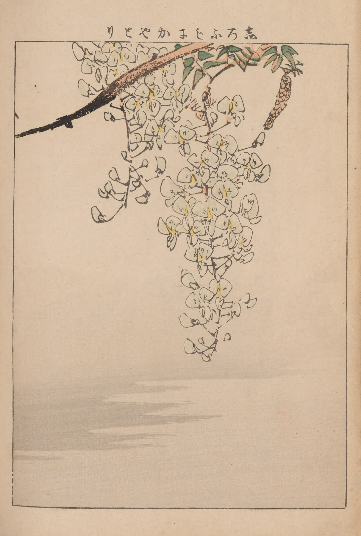 Kachō gafu, Pl.11 by Kōtei Fukui