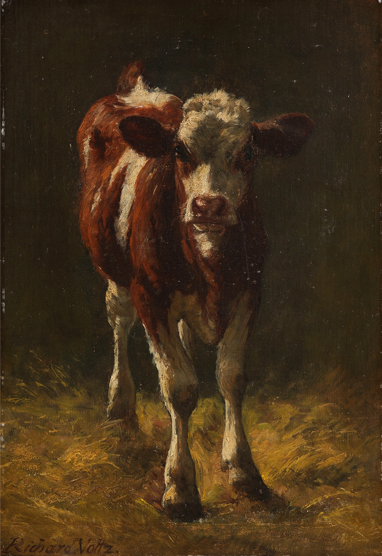 Kälbchen im Stall by Richard Voltz