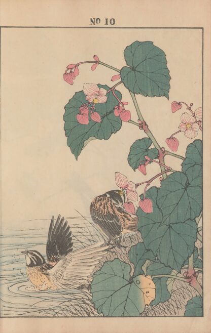 Keinen kachō gafu Pl.012 by Imao Keinen