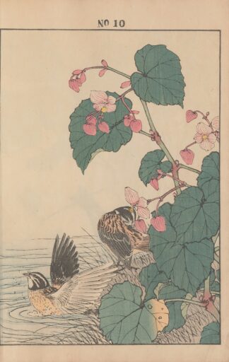 Keinen kachō gafu Pl.012 by Imao Keinen