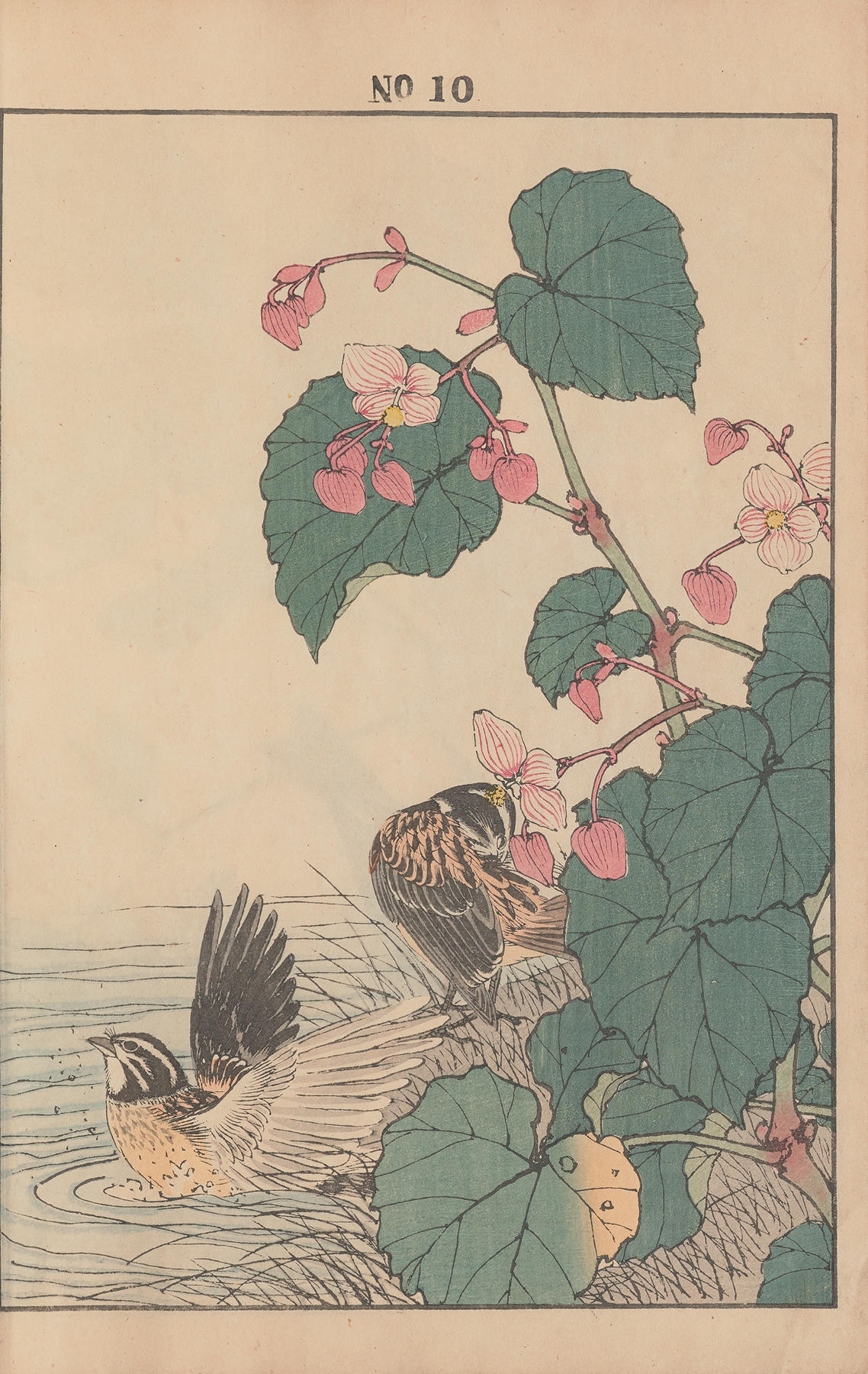 Keinen kachō gafu Pl.012 by Imao Keinen