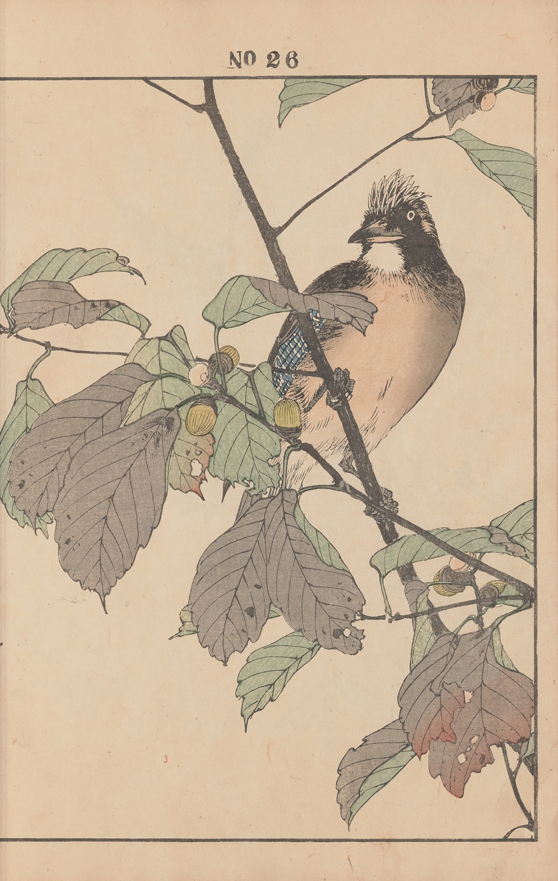 Keinen kachō gafu Pl.028 by Imao Keinen