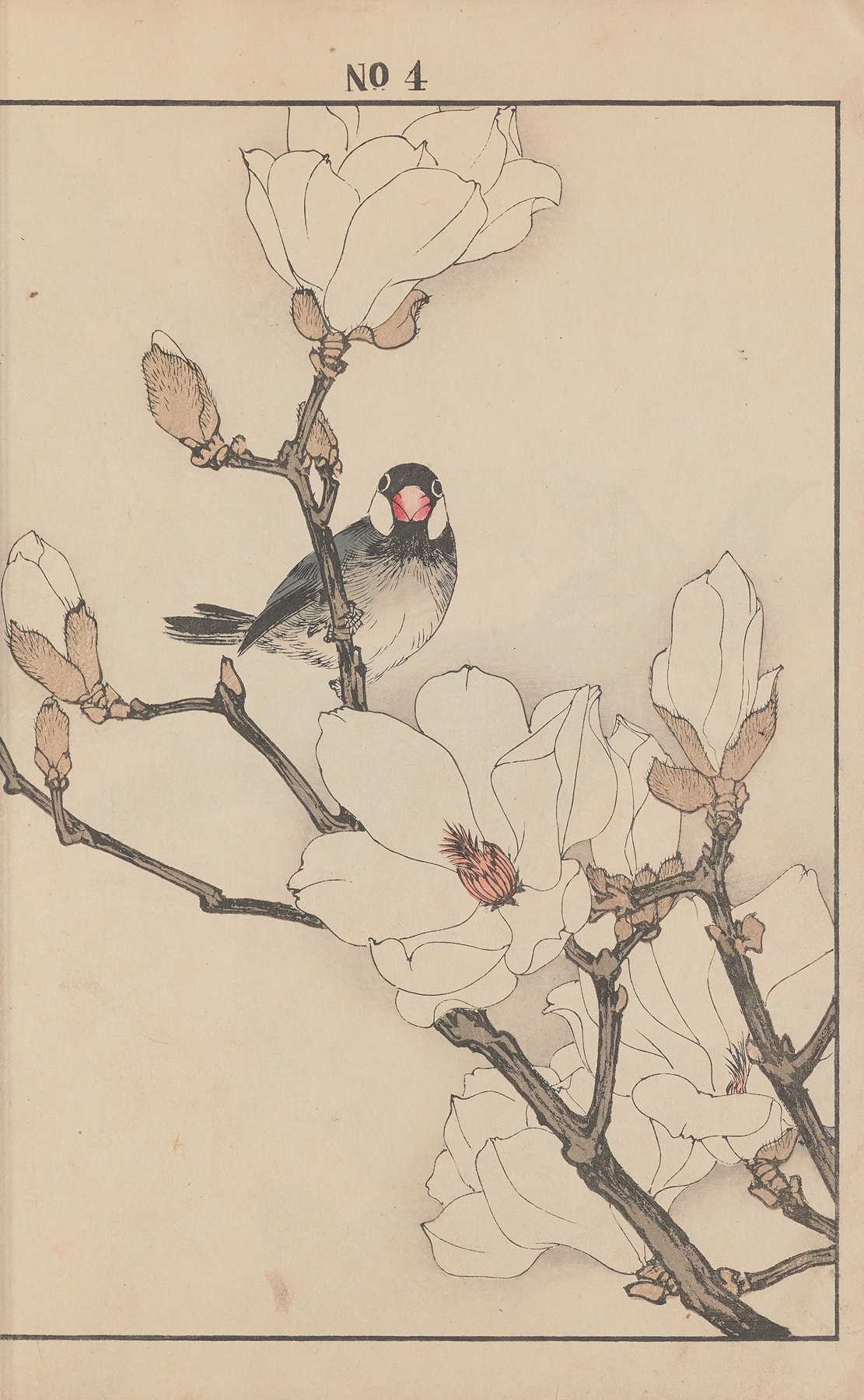 Keinen kachō gafu Pl.046 by Imao Keinen
