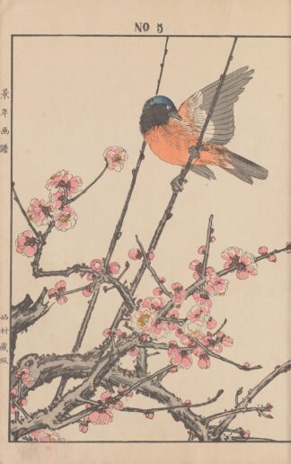 Keinen kachō gafu Pl.047 by Imao Keinen