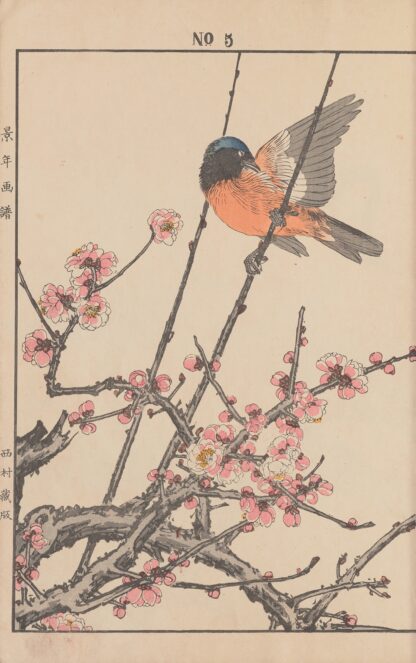 Keinen kachō gafu Pl.047 by Imao Keinen