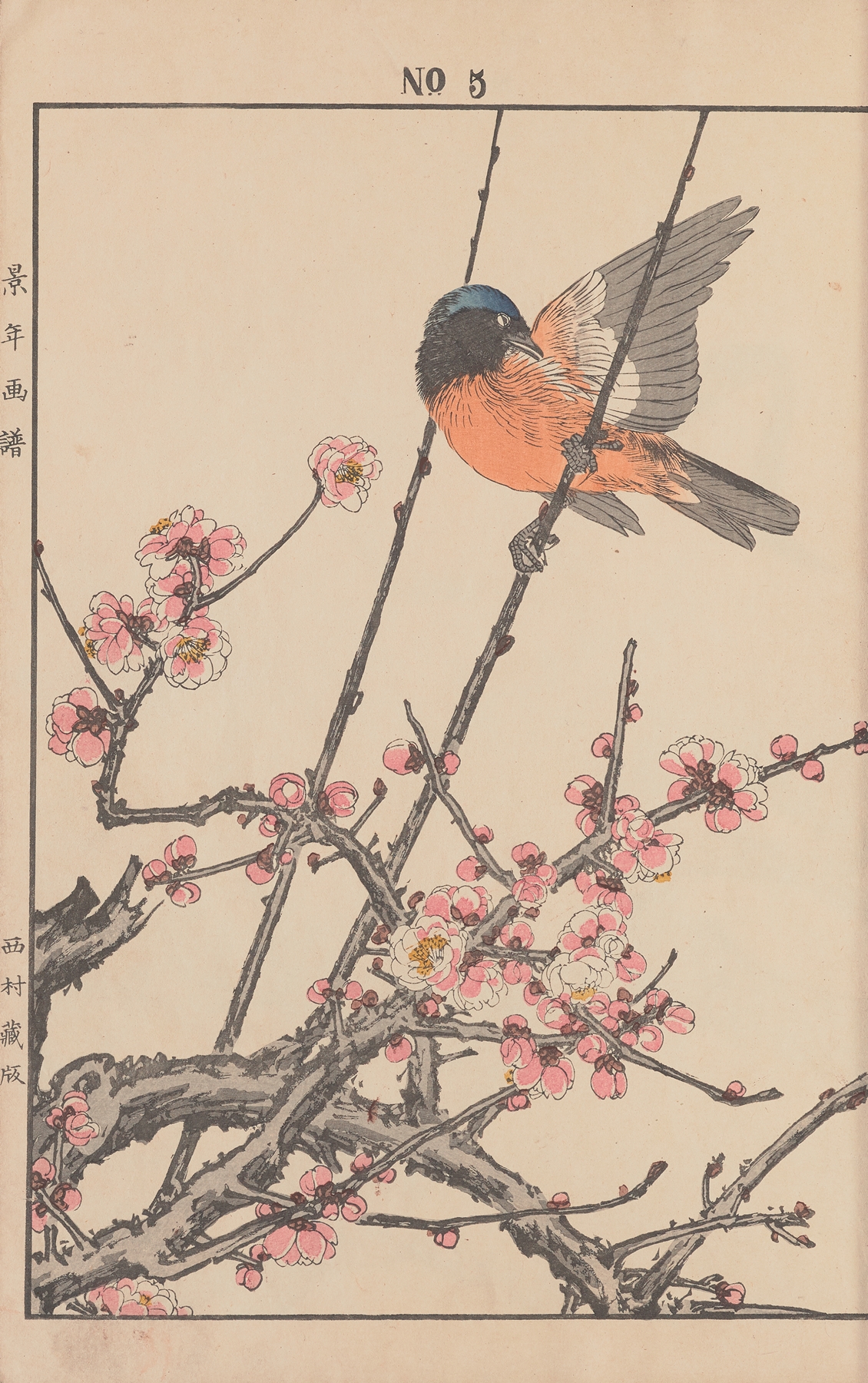 Keinen kachō gafu Pl.047 by Imao Keinen