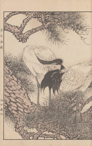 Keinen kachō gafu Pl.049 by Imao Keinen