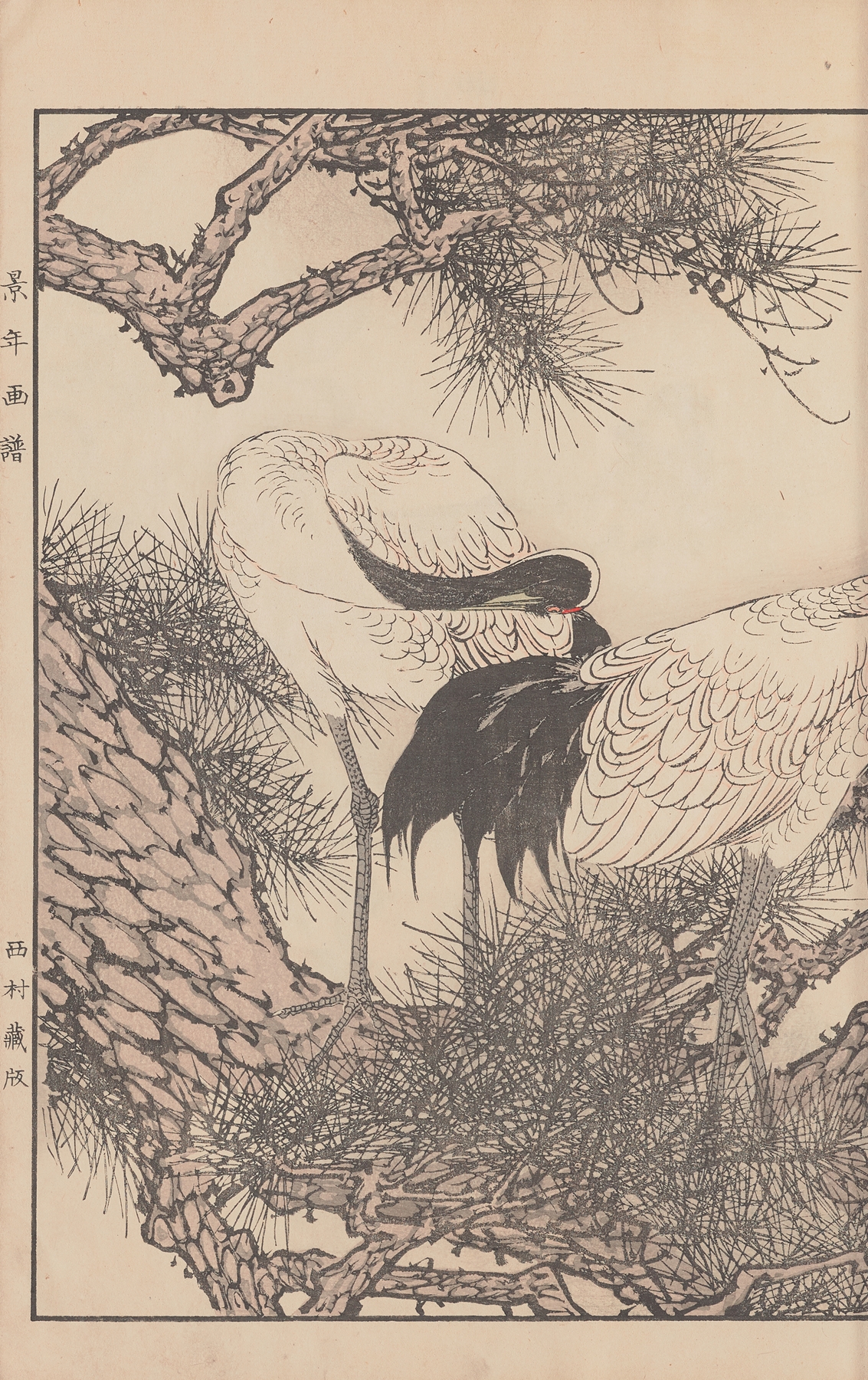 Keinen kachō gafu Pl.049 by Imao Keinen