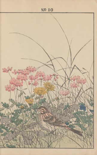 Keinen kachō gafu Pl.054 by Imao Keinen