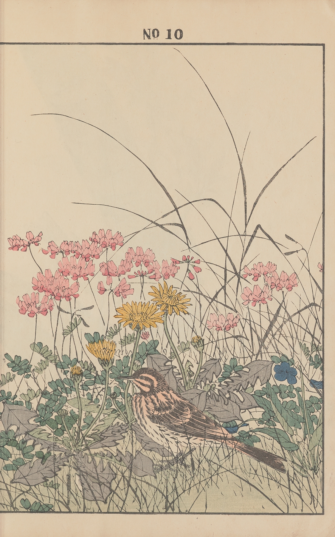 Keinen kachō gafu Pl.054 by Imao Keinen